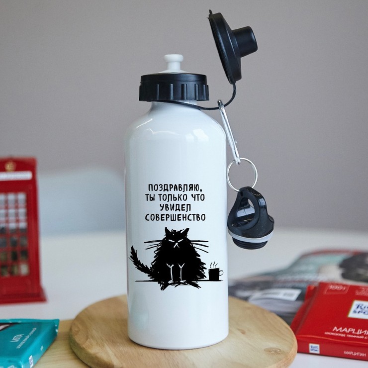 Купить флягу Поздравляю, ты только что увидел совершенство в Минске!